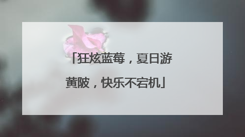狂炫蓝莓，夏日游黄陂，快乐不宕机